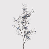 Blue berries spray